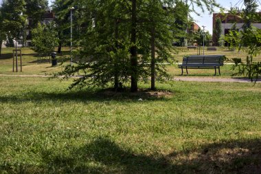 Güneşli bir günde bir parkta ağaçların çerçevelediği yolun kenarındaki bankta.