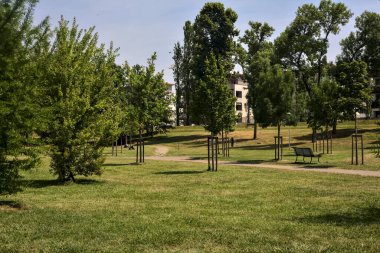 Güneşli bir günde genç ağaçlarla dolu bir parkta çakıl yolu.