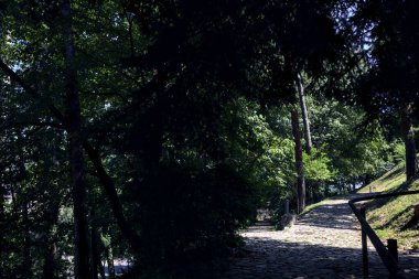 Crossroads between two path in a park on a sunny day