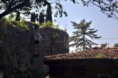 Çatı ve ağaç arasındaki kayalıklarda güçlendirme