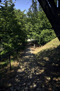 Güneşli bir günde parkın içinde ağaçlarla kaplı gölgeli bir patika.