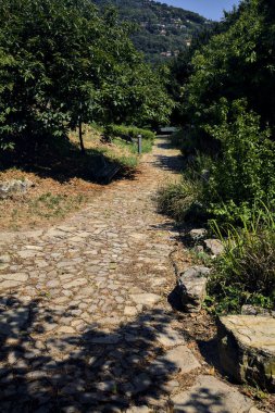 Güneşli bir günde tepedeki parkta iki yol arasında bir kavşak.