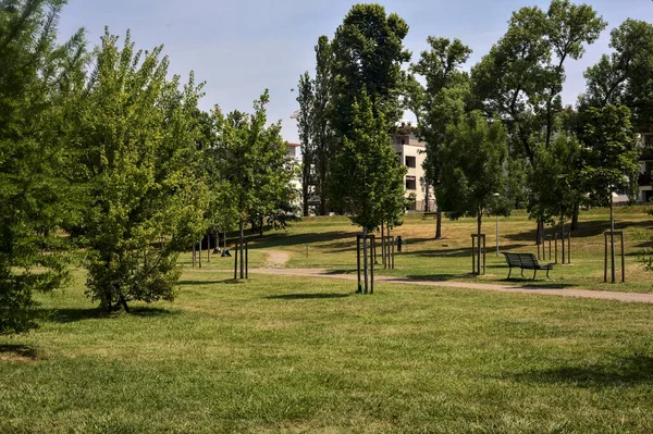 Grindpad Een Park Met Jonge Bomen Een Zonnige Dag — Stockfoto