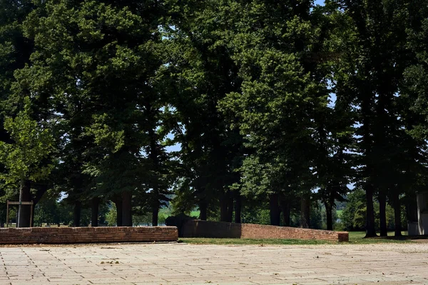 Paved Square Park Bordered Poplars — Stockfoto