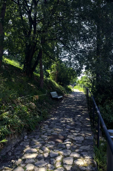 Cobbled Path Partly Shade Park — Stock Photo, Image