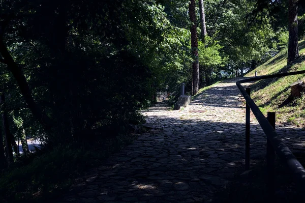 Kruising Tussen Twee Paden Een Park Een Zonnige Dag — Stockfoto