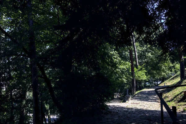 Crossroads Two Path Park Sunny Day — Stockfoto