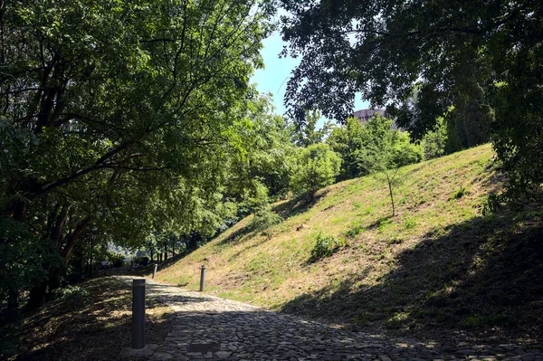 Cobbled Path Partly Shade Park —  Fotos de Stock