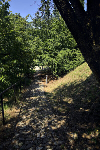 Shady path with trees arching on it in a park on a sunny day
