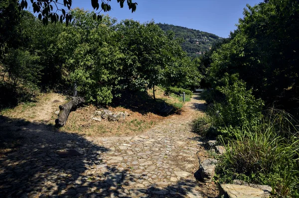 Intersection between two path in a park on a hill on a sunny day