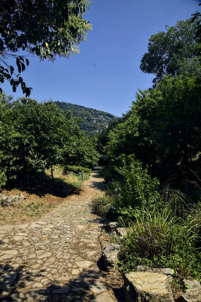 Intersection between two path in a park on a hill on a sunny day