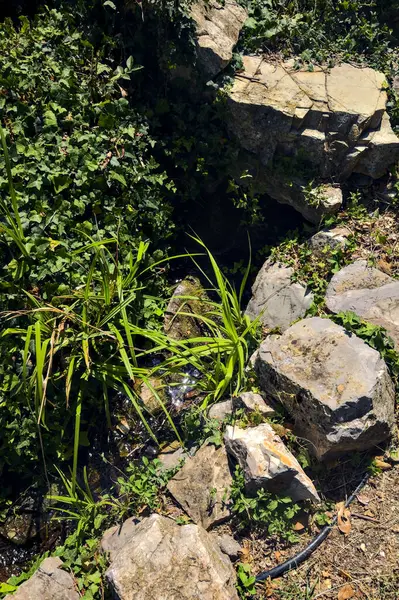 Pequeño Chorro Agua Con Plantas Vistas Desde Arriba —  Fotos de Stock