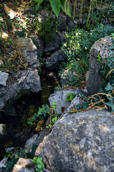 Brook Shade Bordered Rocks Plants Park Seen Close — Fotografia de Stock