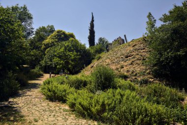 Güneşli bir günde parkta çalılarla ve ağaçlarla çevrili taş patika.