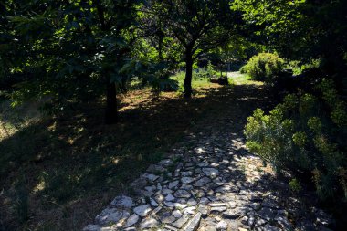 Güneşli bir günde ağaçların gölgesinde kaldırımlı patika.