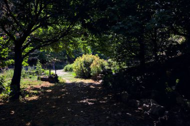 Cobbled path in the shade made by trees in a park on a sunny day