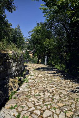 Parkta güneşli bir günde ağaçlarla dolu uçurumun kenarındaki patika.
