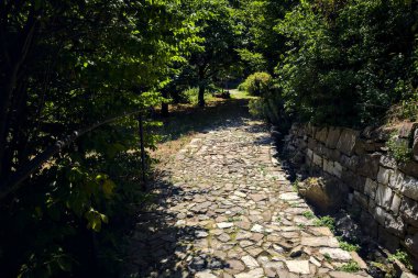 Parkta güneşli bir günde ağaçlarla dolu uçurumun kenarındaki patika.