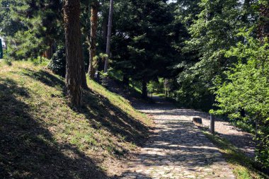 Güneşli bir günde parkta iki yol ayrımı