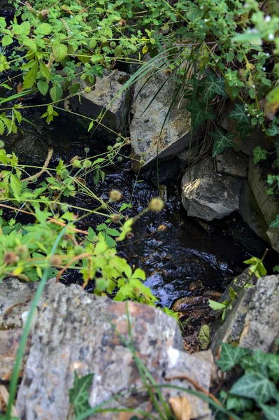 Arroyo Sombra Bordeado Rocas Plantas Parque Visto Cerca —  Fotos de Stock