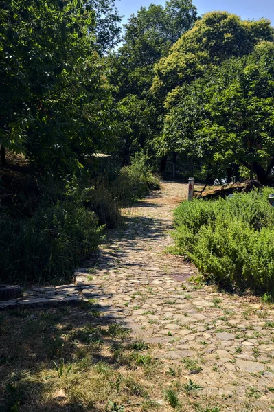 Chemin Pierre Bordé Buissons Arbres Dans Parc Par Une Journée — Photo
