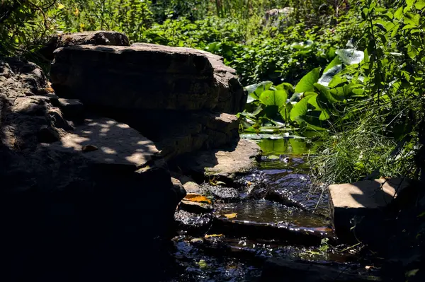 Arroyo Sombra Procedente Estanque Enmarcado Por Rocas Árboles Día Soleado —  Fotos de Stock