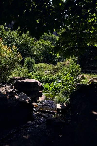 Potok Stínu Vycházející Rybníka Rámovaného Skalami Stromy Slunečného Dne Parku — Stock fotografie