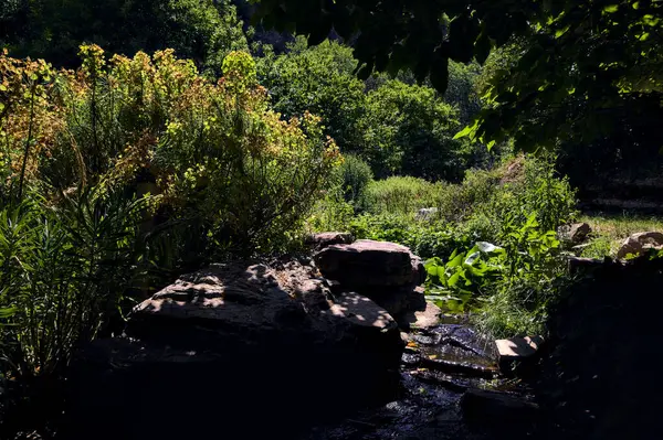 Brook Shade Coming Pond Framed Rocks Trees Sunny Day Park — Stock Photo, Image