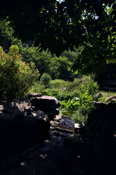 Brook Shade Coming Pond Framed Rocks Trees Sunny Day Park — 스톡 사진