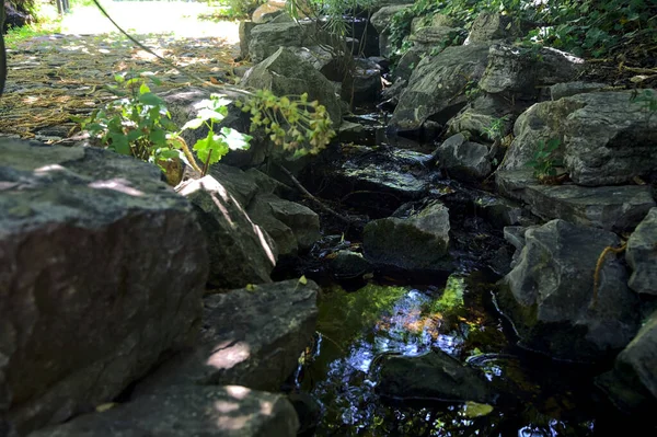 Brook Shade Bordered Rocks Plants Park Seen Close — Fotografia de Stock