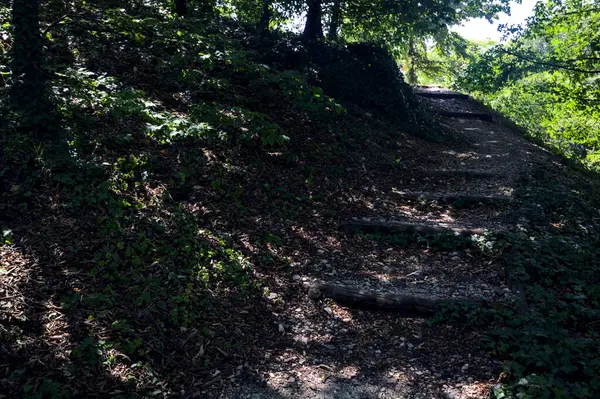 Path Shaped Staircase Shade Park — Fotografia de Stock