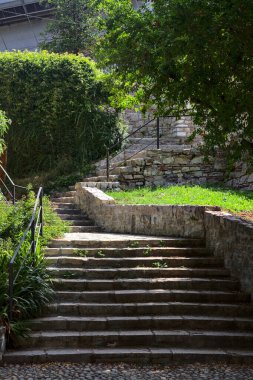 Parktaki çiçek tarhları ve ağaçlarla çevrili bir sokak ve merdiven.