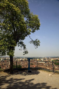 Güneşli bir günde şehrin yukarısındaki bir ağacın altında bozuk parayla çalışan gözlüklü bir bakış açısı.