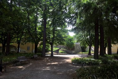 Güneşli bir günde, bir şatonun içindeki parkta, kavak ağaçlarının altında gölgeli bir patika.