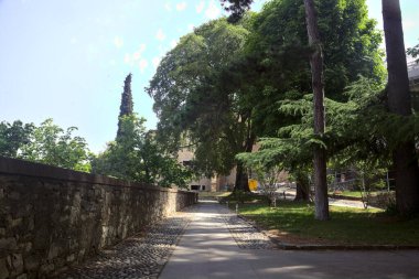 Güneşli bir günde, parkta, bir taşın yanındaki patika.