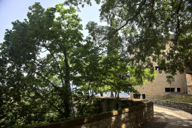 Güneşli bir günde, parkta, bir taşın yanındaki patika.