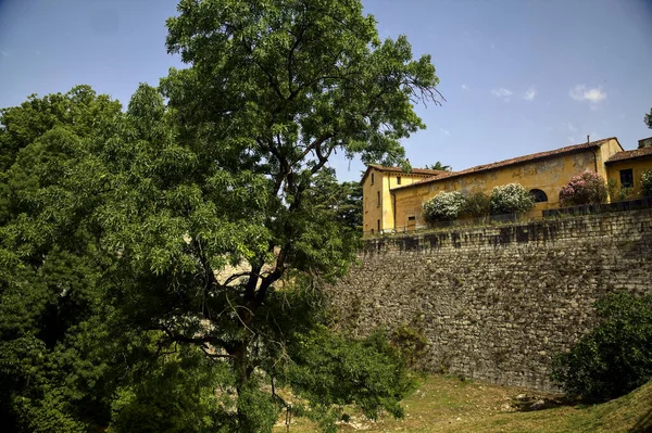 Fortification Wall Moat Trees Castle Park Sunny Day — Φωτογραφία Αρχείου