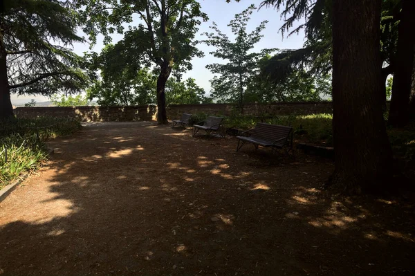 Shady Path Poplars Park Castle Sunny Day — Stockfoto
