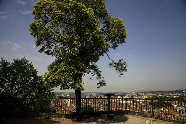 Viewpoint with a coin operated eyeglass under a tree above a city on a sunny day