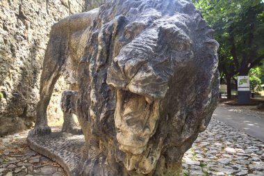 Yakından görülen kükreyen bir aslan heykeli