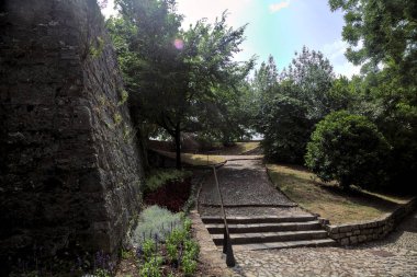 Güneşli bir günde parktaki banklara giden adımlar.