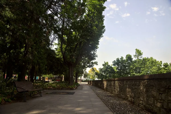 Path Next Stone Balustrade Park Sunny Day — стоковое фото