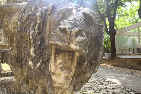 Statue Roaring Lion Seen Close — Photo