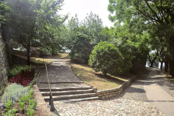 Steps Leading Benches Park Sunny Day — ストック写真