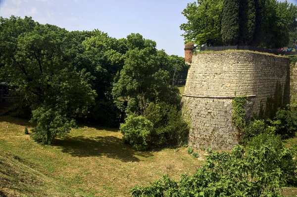 Fortification wall and moat with trees of a castle in a park on a sunny day
