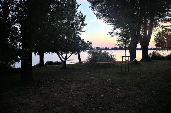 Shore Lake Sunset Fallen Tree Next Water — Stock Fotó