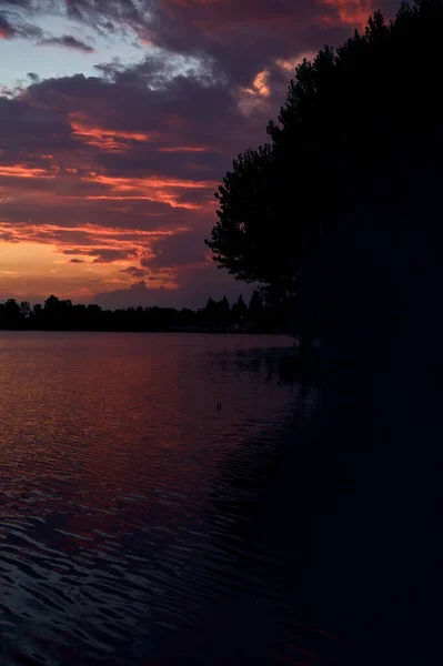 Sunset Lake Summer Silhouette Shores — Stok fotoğraf