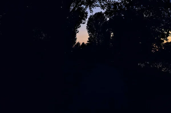 Twilight Sky Clouds Framed Trees — Photo