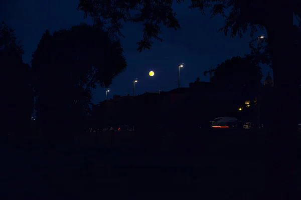 Road Street Lights Seen Path Twilight — Foto Stock