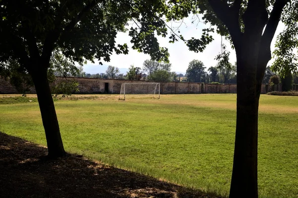 Goal Football Field Sunny Day Framed Trees — стоковое фото